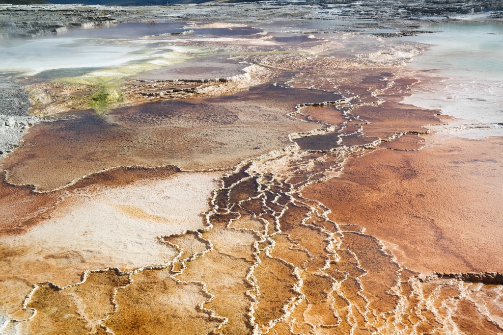 Thermophile Bakterien im Yellowstone-Nationalpark
