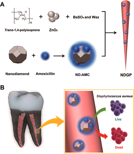 Nanodiamanten