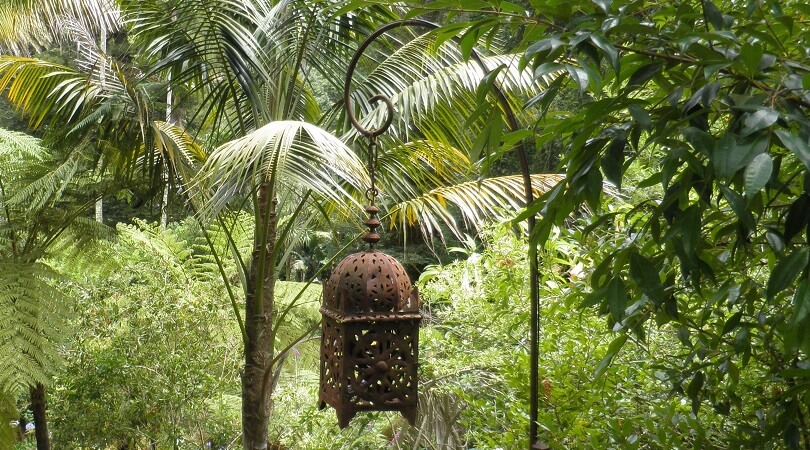 Rost im Garten