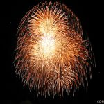 Feuerwerk - Tradition oder Umweltsünde?