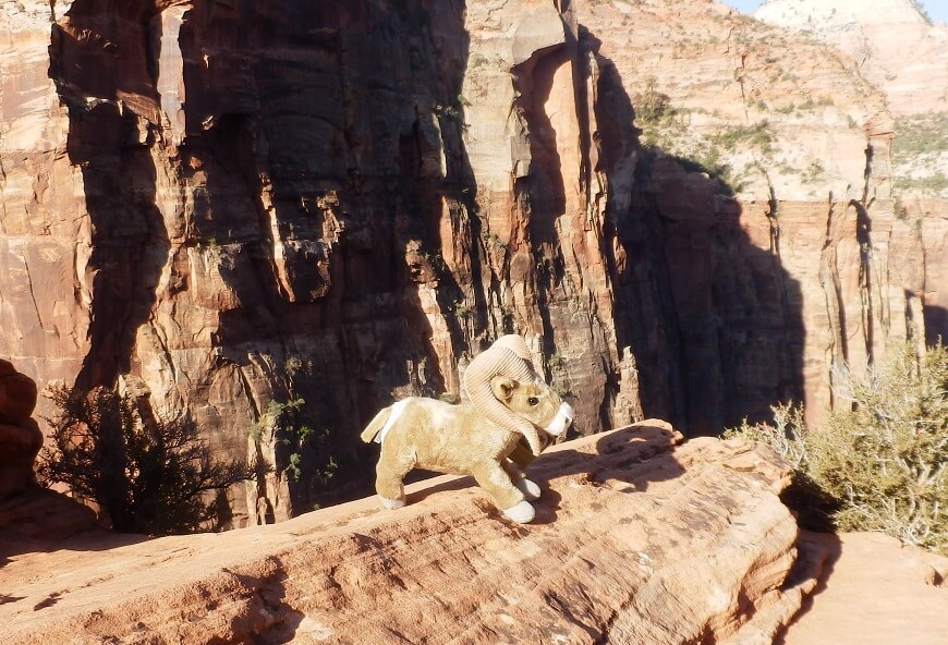 Souvenirs , die Nutzen haben: "Little Bighorn", unser Maskottchen als Beigabe zur Patenschaft für ein Desert Bighorn Sheep.