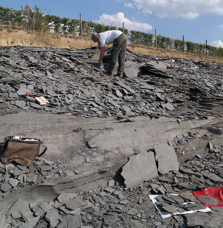 Das Grab unseres Ammoniten bei Holzmaden - und Kathi Keinstein bei der Exhumierung der Fossilien