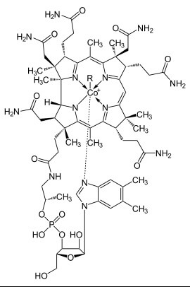 Cobalamin oder Vitamin B12 : muss zuführen oder -füttern, wer sich vegan ernährt bzw. Veganes füttert