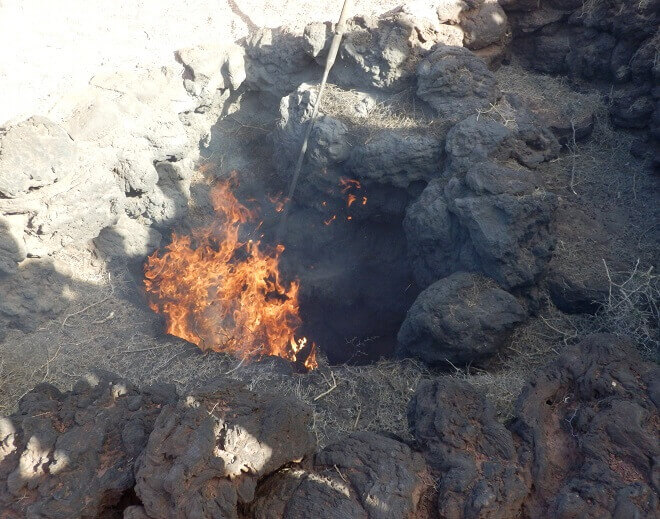 Brennender Busch im Timanfaya - Nationalpark