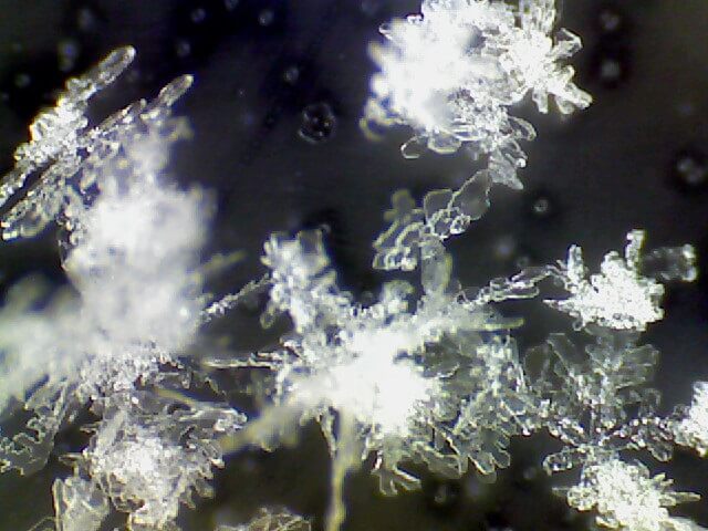Unter dem Mikroskop: Schneeflocken bestehen aus sternförmigen Kristallen: Zu dicht beieinander erscheinen sie noch nicht ganz klar