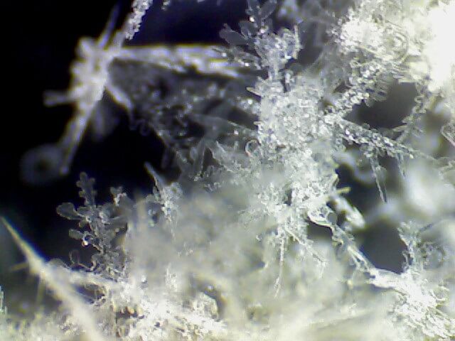 Schnee-Kristall-Sterne unter dem Mikroskop zu einer Flocke verworren