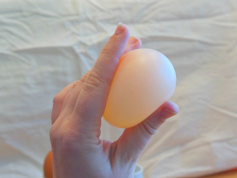 Experiment 1: Das nackte Ei ist elastisch.