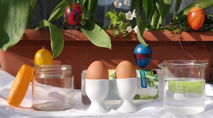 Osmose mit Ei : Experiment zu Ostern