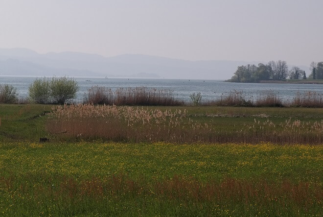 Blick über den Frauwinkel am Zürichsee