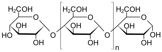 Experimente: Das geheimnisvolle Leben der Pflanzen - Teil 2 : Photosynthese  - Keinsteins Kiste