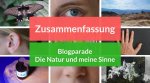 Zusammenfassung Blogparade "Die Natur und meine Sinne "