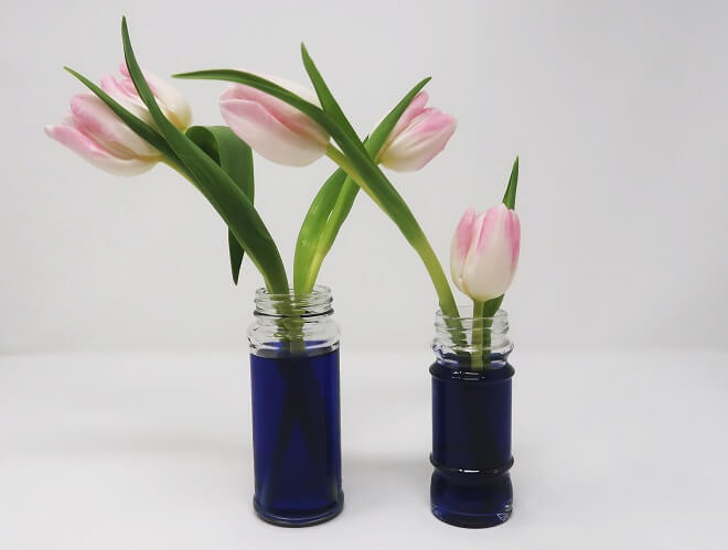 Vorher : Die Blumen zum Färben stehen in Vasen mit Tinte in Wasser
