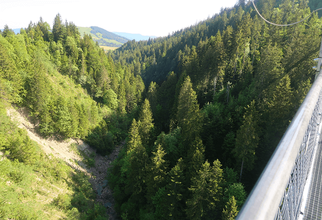 Blick von der Hängebrücke ins Lauitobel