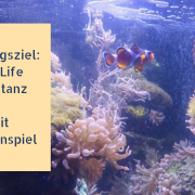 Ausflugstipp: Sea Life Center Konstanz - mit Gewinnspiel