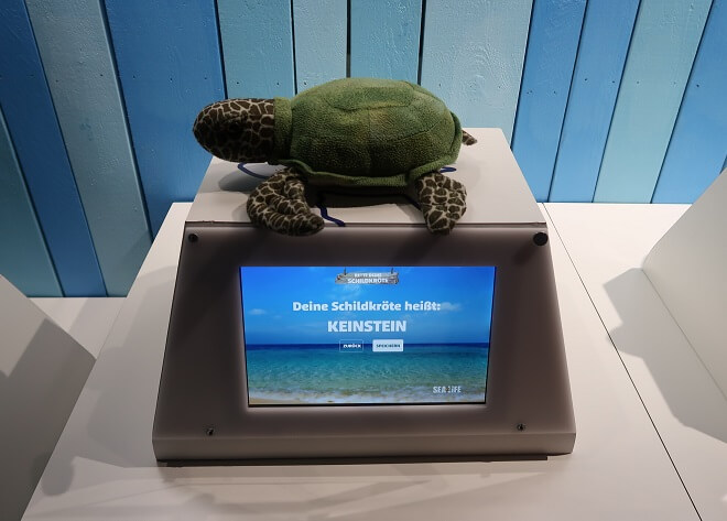Plüsch-Schildkröte "Keinstein" auf der Waage