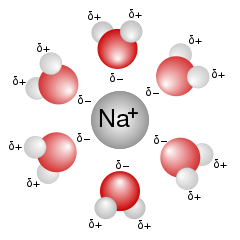 Natriumion mit Hydrathülle