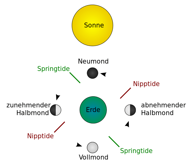 Überblick über die Mondphasen: Sonne, Erde und Mond in den wichtigsten Positionen zueinander (nicht massstabsgetreu) 