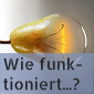 Wie funktioniert...?