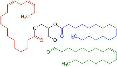 Lewis-Struktur eines Triglycerids: Diese Verbindungen nutzen in Antistatik-Sprays wenig