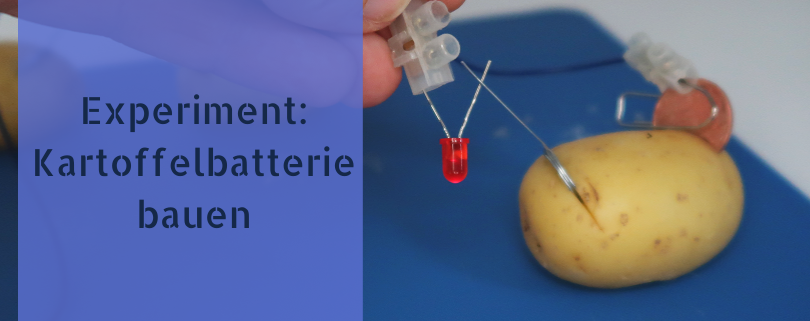 Experiment: Kartoffelbatterie bauen