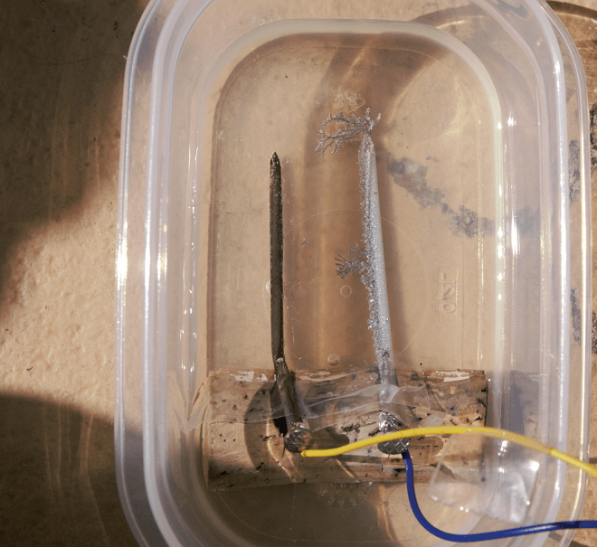 Blick von oben in das Versuchsgefäss nach 20 Minuten Laufzeit: Am rechten Nagel wachsen Zinkbäume in Richtung des linken Nagels. Gelöstes Chlor lässt die Flüssigkeit ein wenig grün erscheinen.